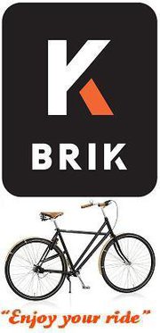 brik-bicicleta-holandesa-con-cardan