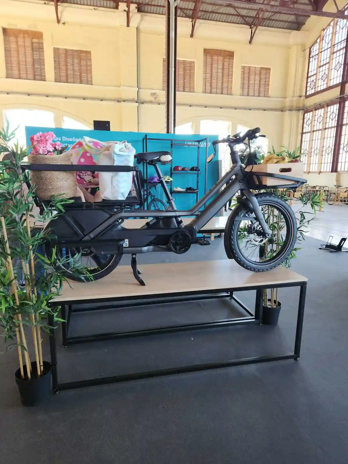 bicicletas long tail