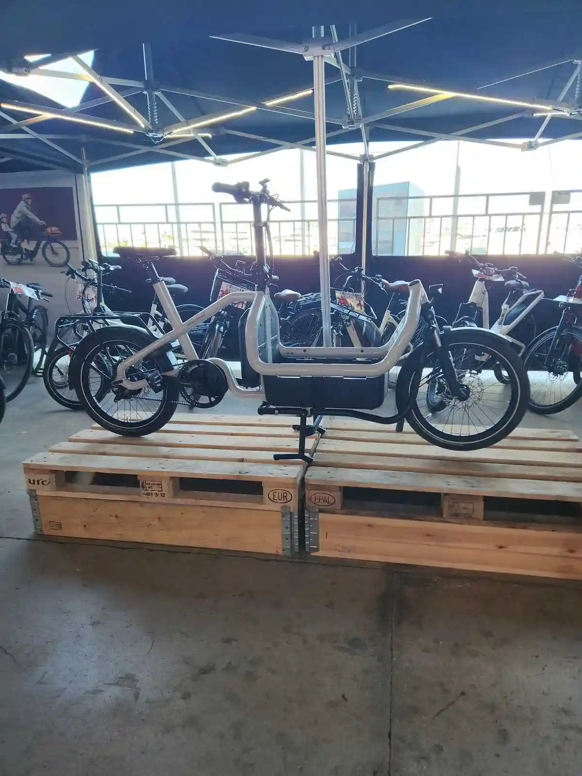 Ciclosferia 2024 Ciclosferia 2024