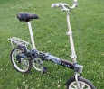 flebi